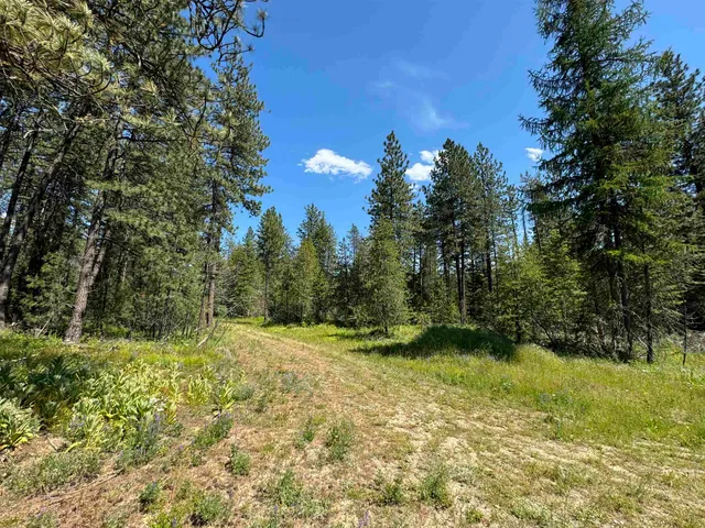 $119,000 | 530 North A Street, Unit LOT #4, Springdale, WA 99173