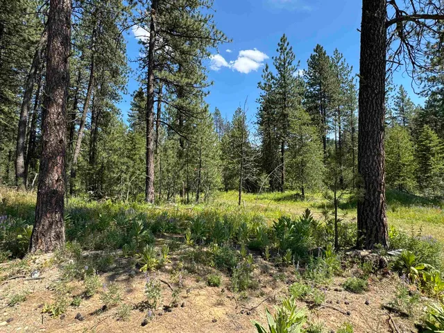 $119,000 | 530 North A Street, Unit LOT #4, Springdale, WA 99173