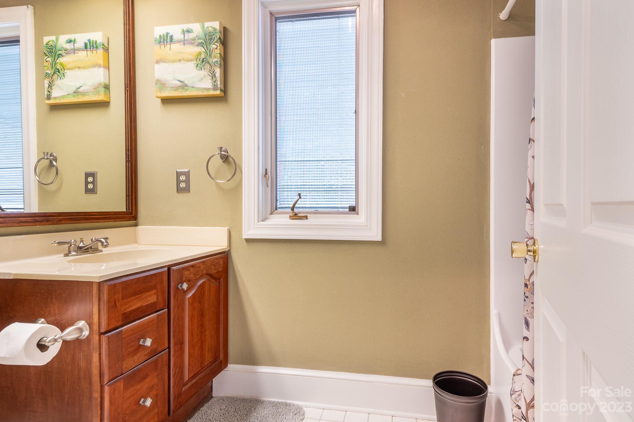 3787 Mill Run Terrell, NC 28682 - Photo 20 of 42 a bathroom with a sink and a mirror