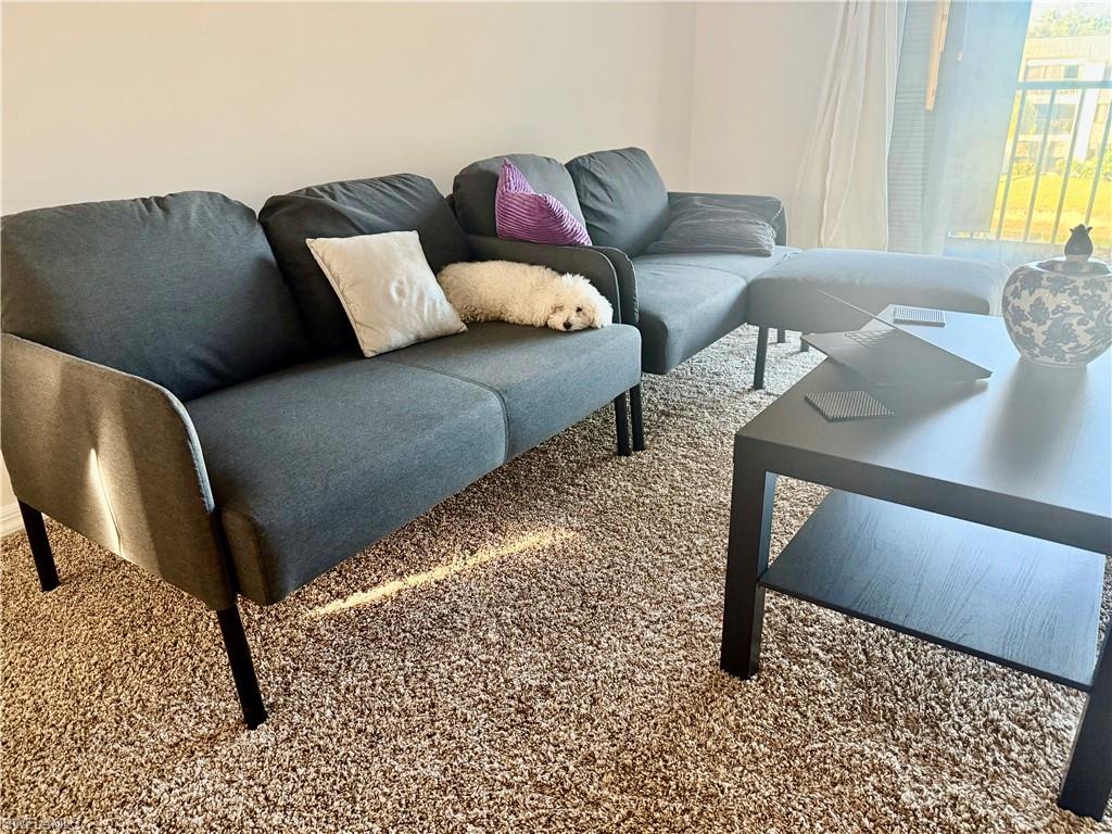 1645 Spoonbill Lane, Unit C Naples, FL 34105 - Photo 33 of 50 Living room with carpet floors