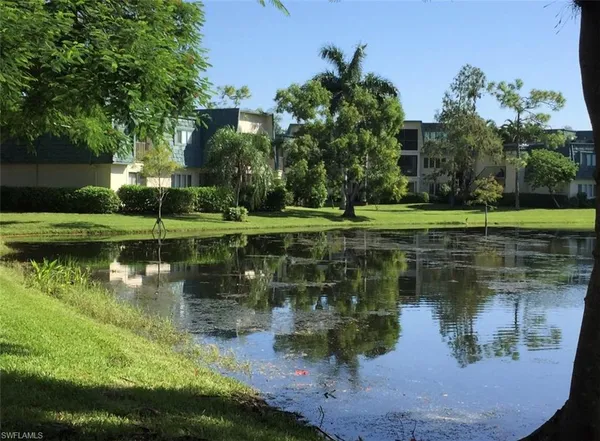 a view of a lake in a garden