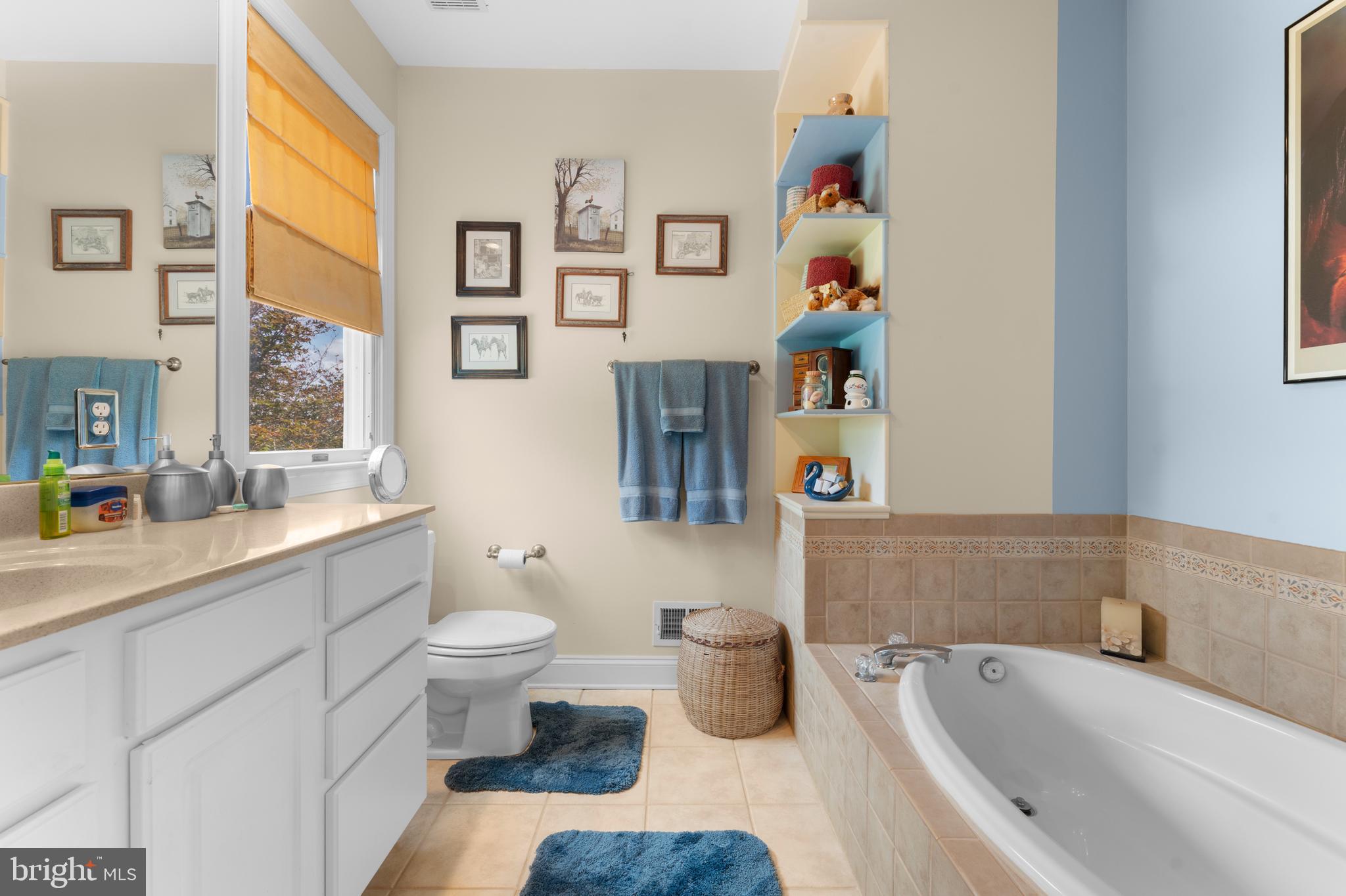 8260 River Hills Lane Rixeyville, VA 22737 - Photo 27 of 104 a bathroom with a sink a large mirror a toilet and a bathtub