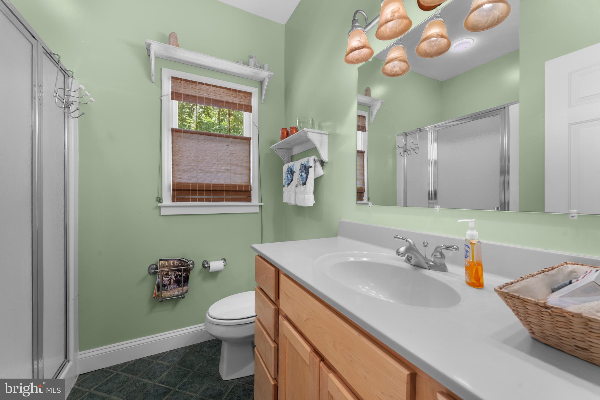 8260 River Hills Lane Rixeyville, VA 22737 - Photo 56 of 104