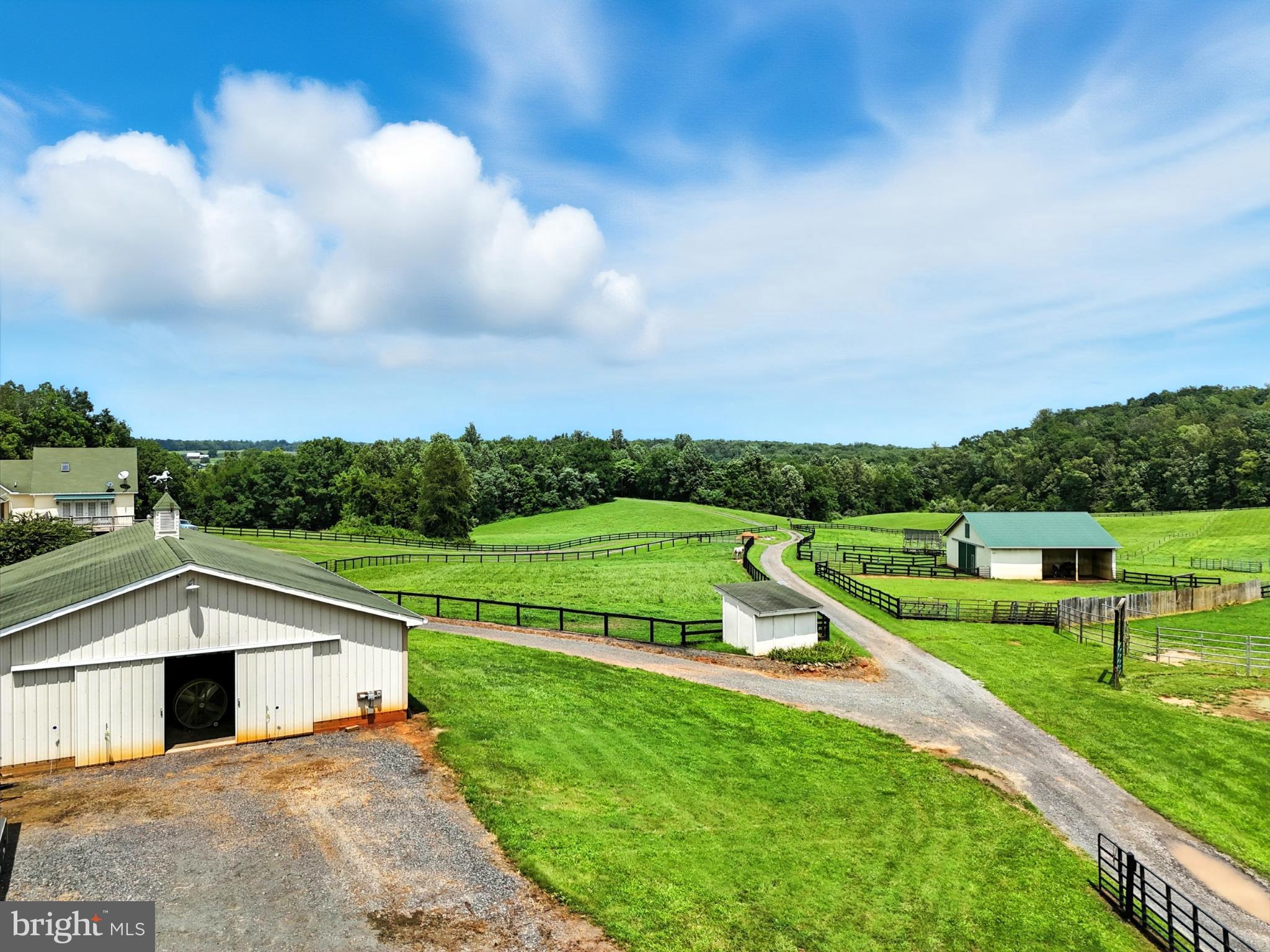 8260 River Hills Lane Rixeyville, VA 22737 - Photo 72 of 104 a view of a big house with a big yard and large trees