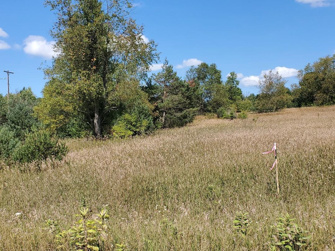 0 West 10 Road Mesick, MI 49668 - Photo 5 of 13