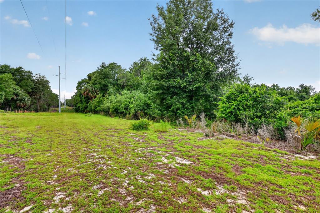 Kilker Road Paisley, FL 32767 - Photo 12 of 15