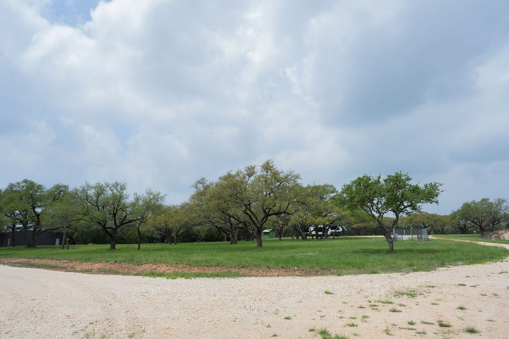 426 Mill Run New Braunfels, TX 78132 - Photo 18 of 40 a view of a field of grass and trees