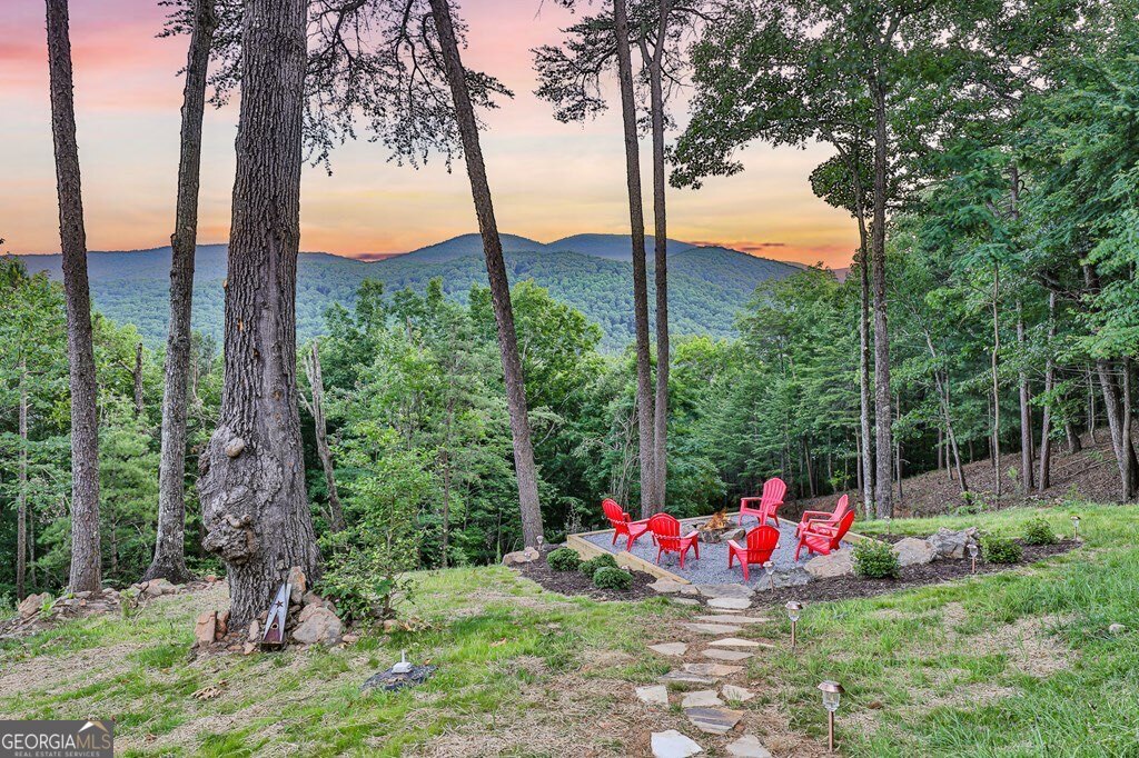 175 Cochise Road, Unit 19 Cherry Log, GA 30522 - Photo 40 of 89