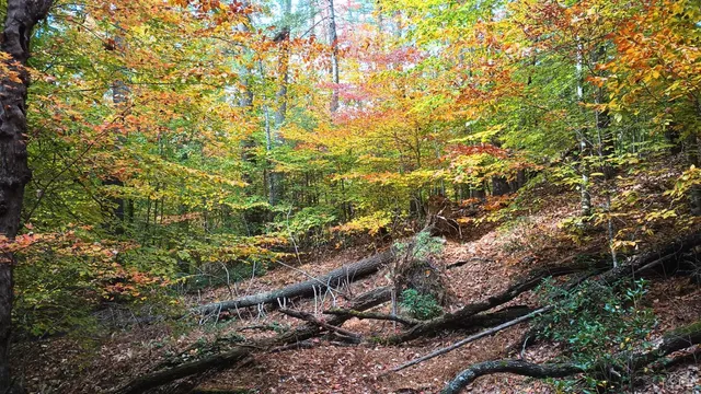 $475,000 | 125 Riverbreeze Court, Howardsville, VA 24562