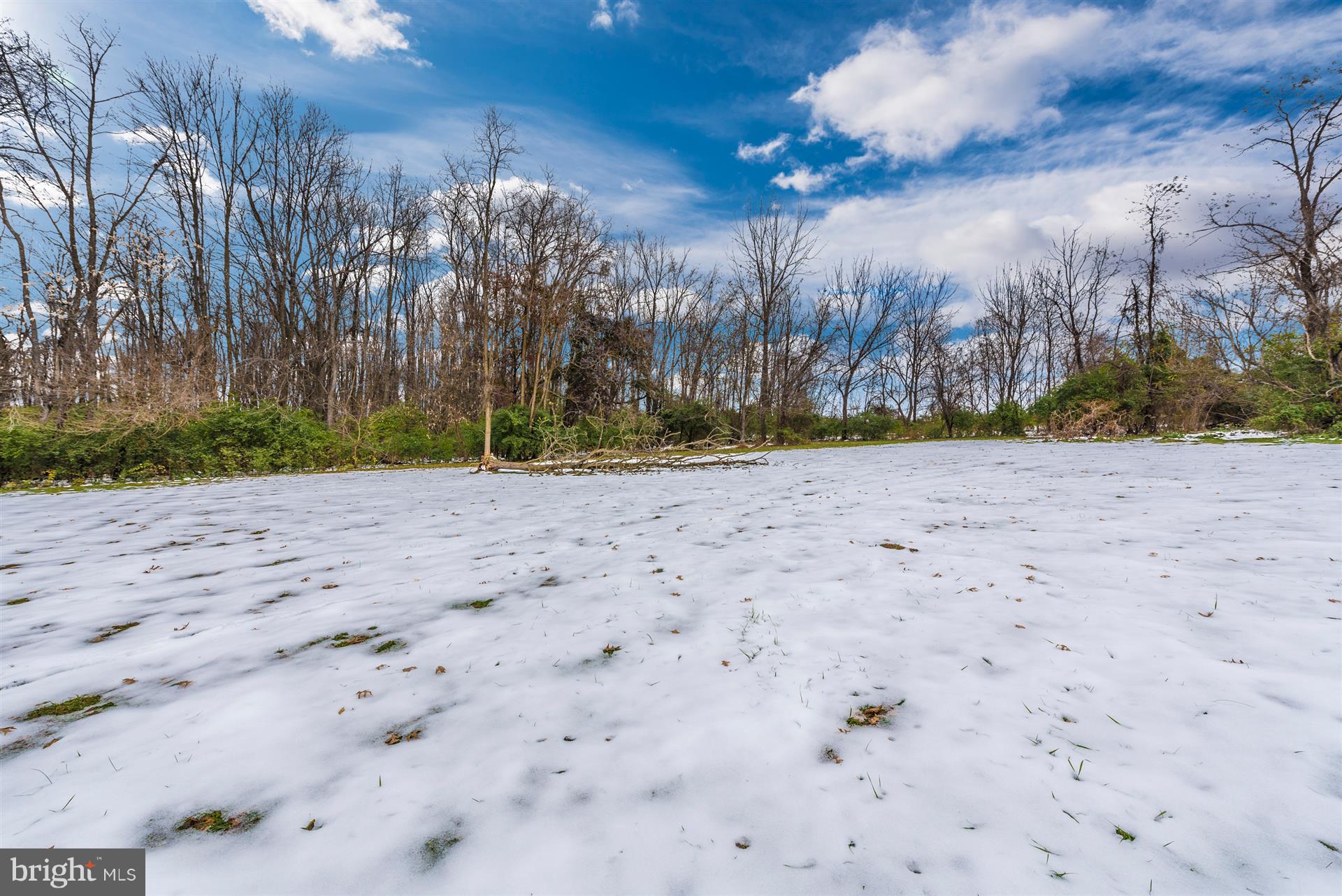 3552 Sigler Road Jefferson, MD 21755 - Photo 20 of 47 Back yard