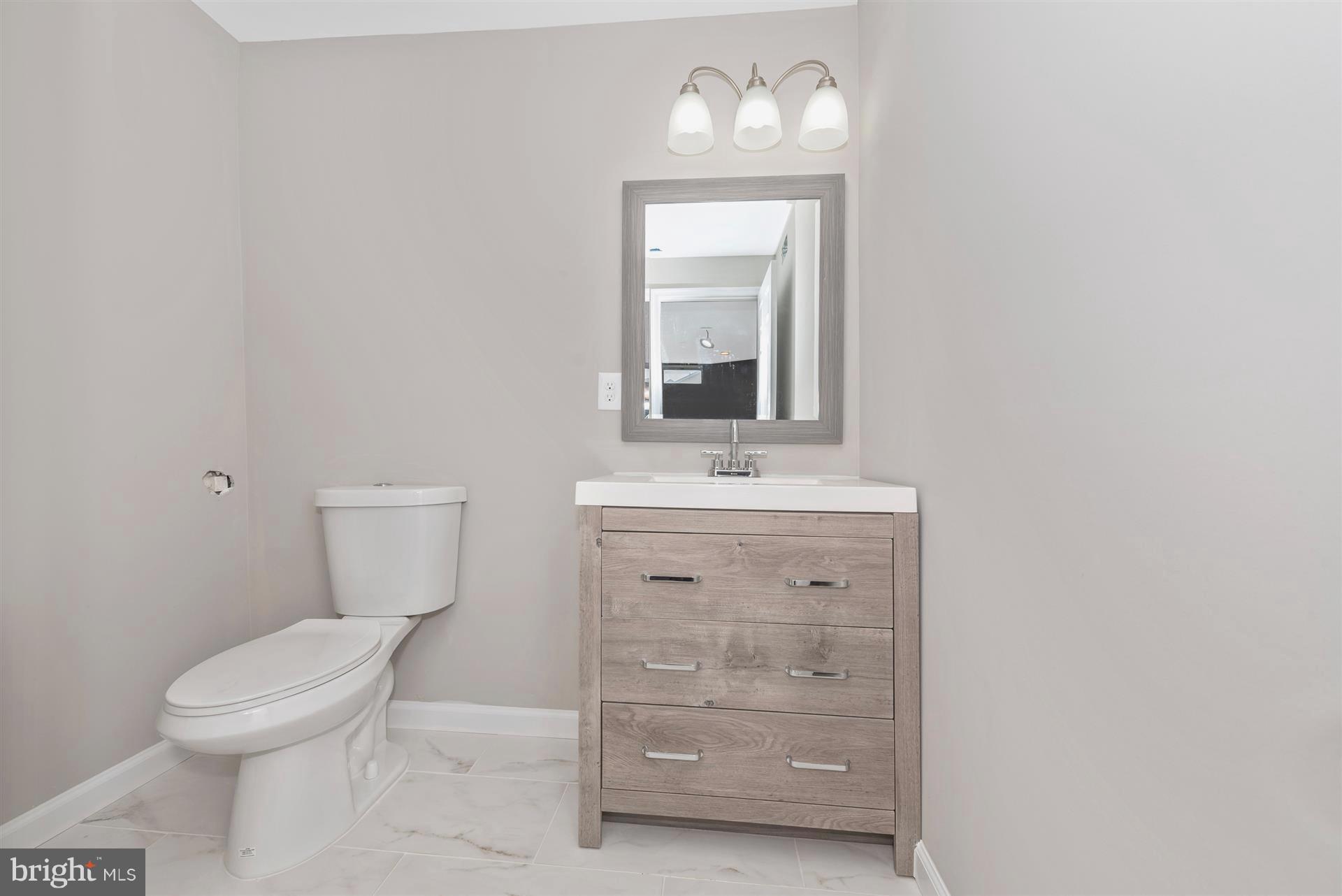 3552 Sigler Road Jefferson, MD 21755 - Photo 35 of 47 Lower Level Bull Bath