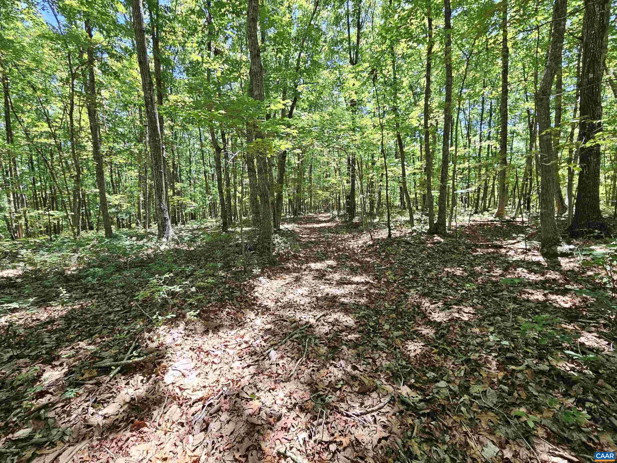 Manteo Road, Unit 2 Buckingham, VA 23921 - Photo 11 of 19