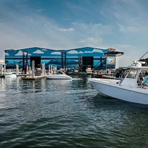 a view of a pool with a yard