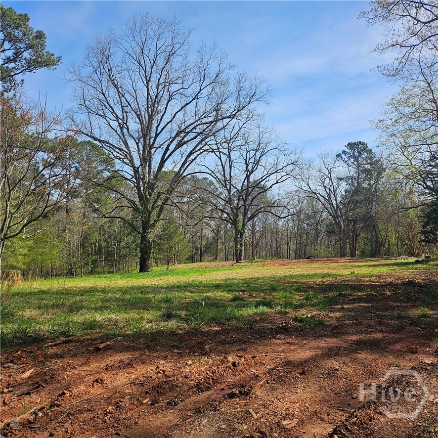 6291 Colham Ferry Road Watkinsville, GA 30677 - Photo 1 of 9 Gallery Image 1