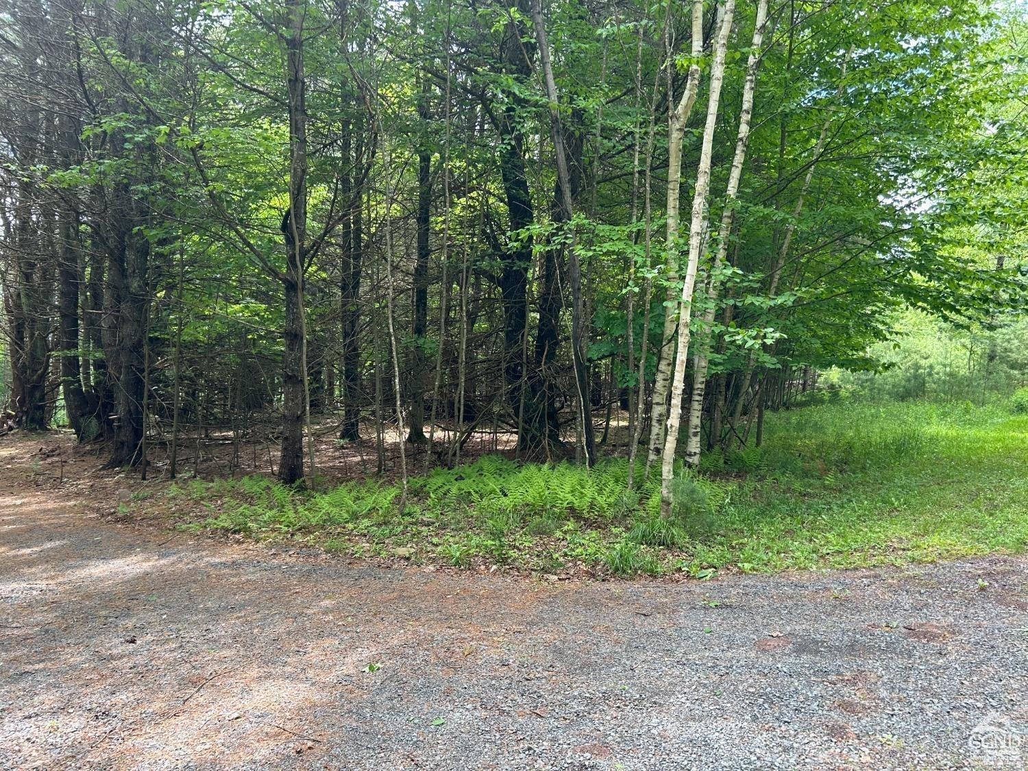 0 Vare Road Prattsville, NY 12468 - Photo 6 of 14 a view of outdoor space and yard