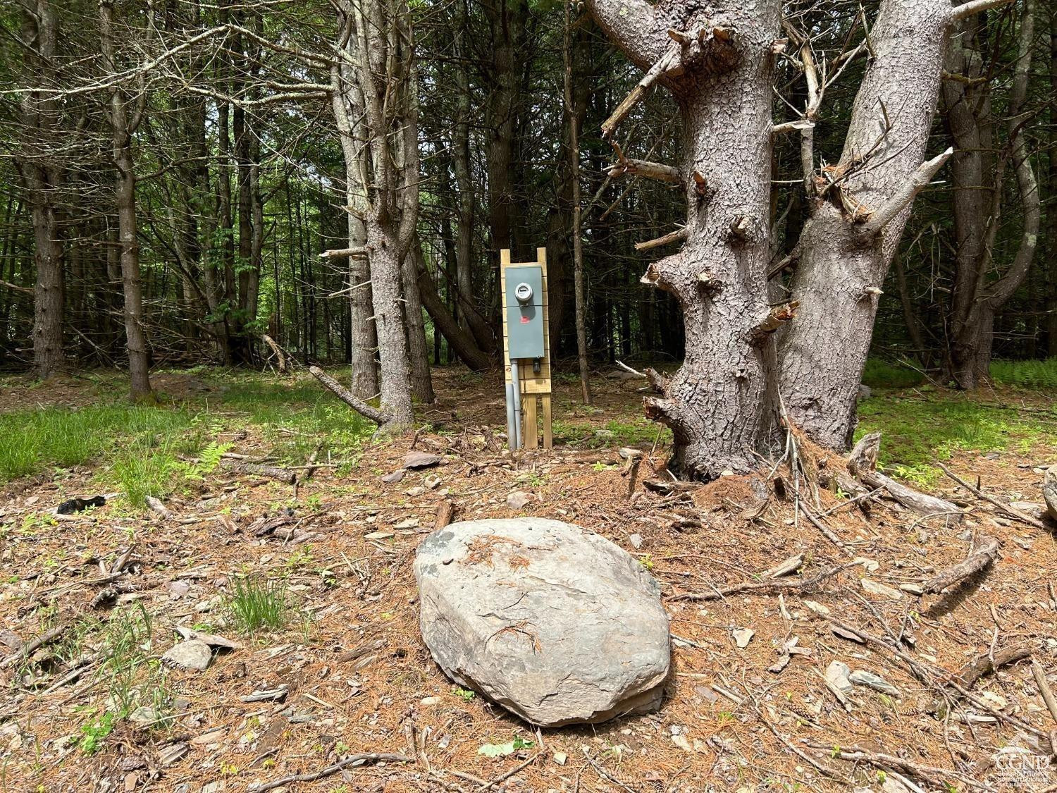 0 Vare Road Prattsville, NY 12468 - Photo 7 of 14 a view of a backyard