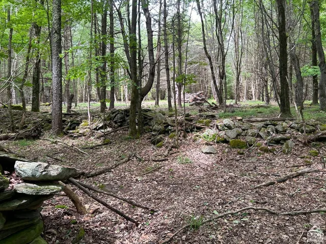 a wooden fence with trees in the background