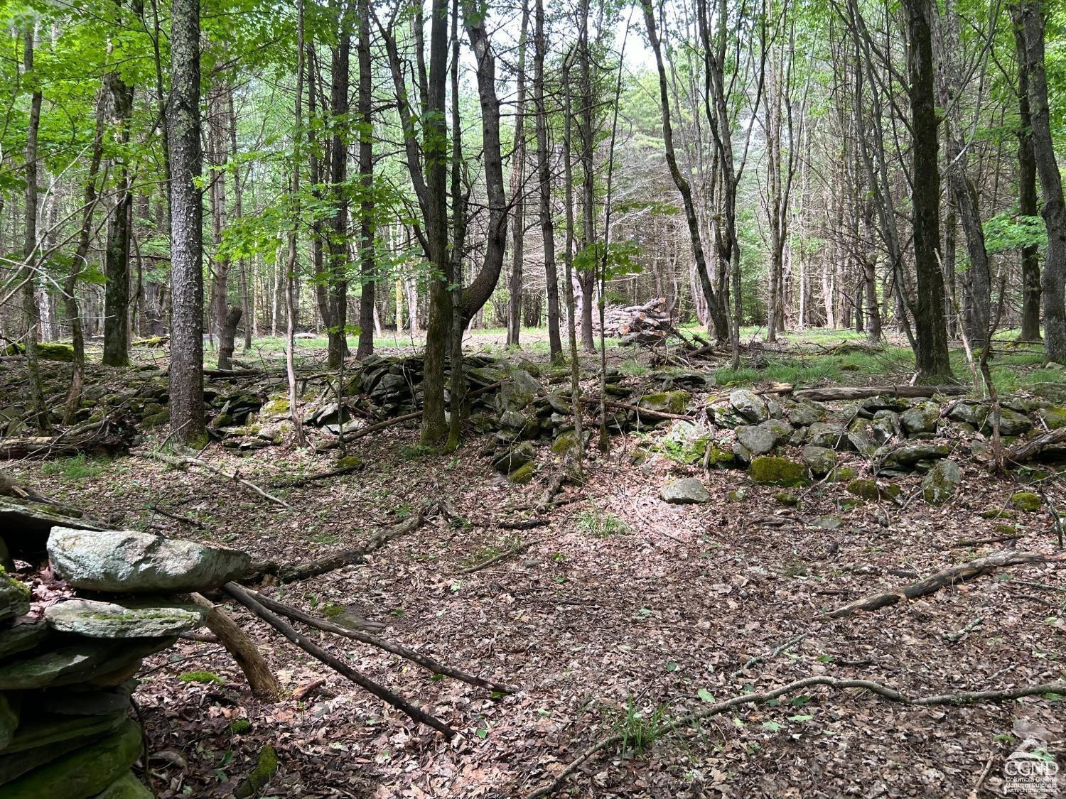 0 Vare Road Prattsville, NY 12468 - Photo 8 of 14 a backyard of a house with lots of green space
