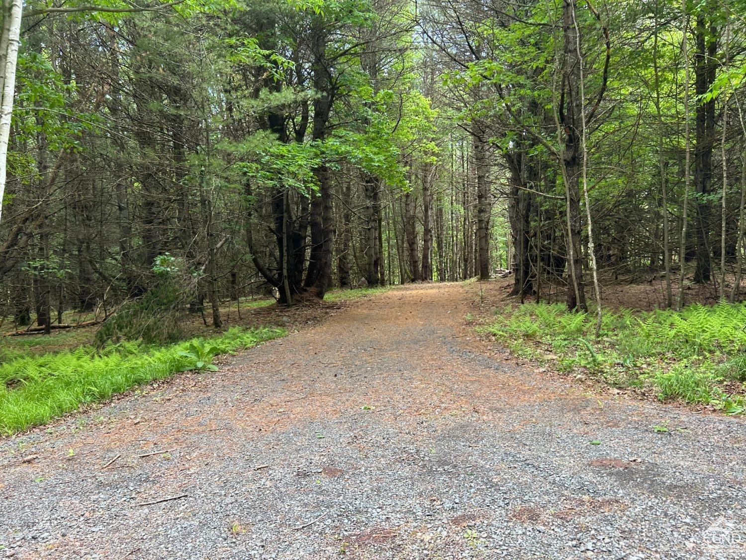 0 Vare Road Prattsville, NY 12468 - Photo 9 of 14 a wooden fence with trees in the background