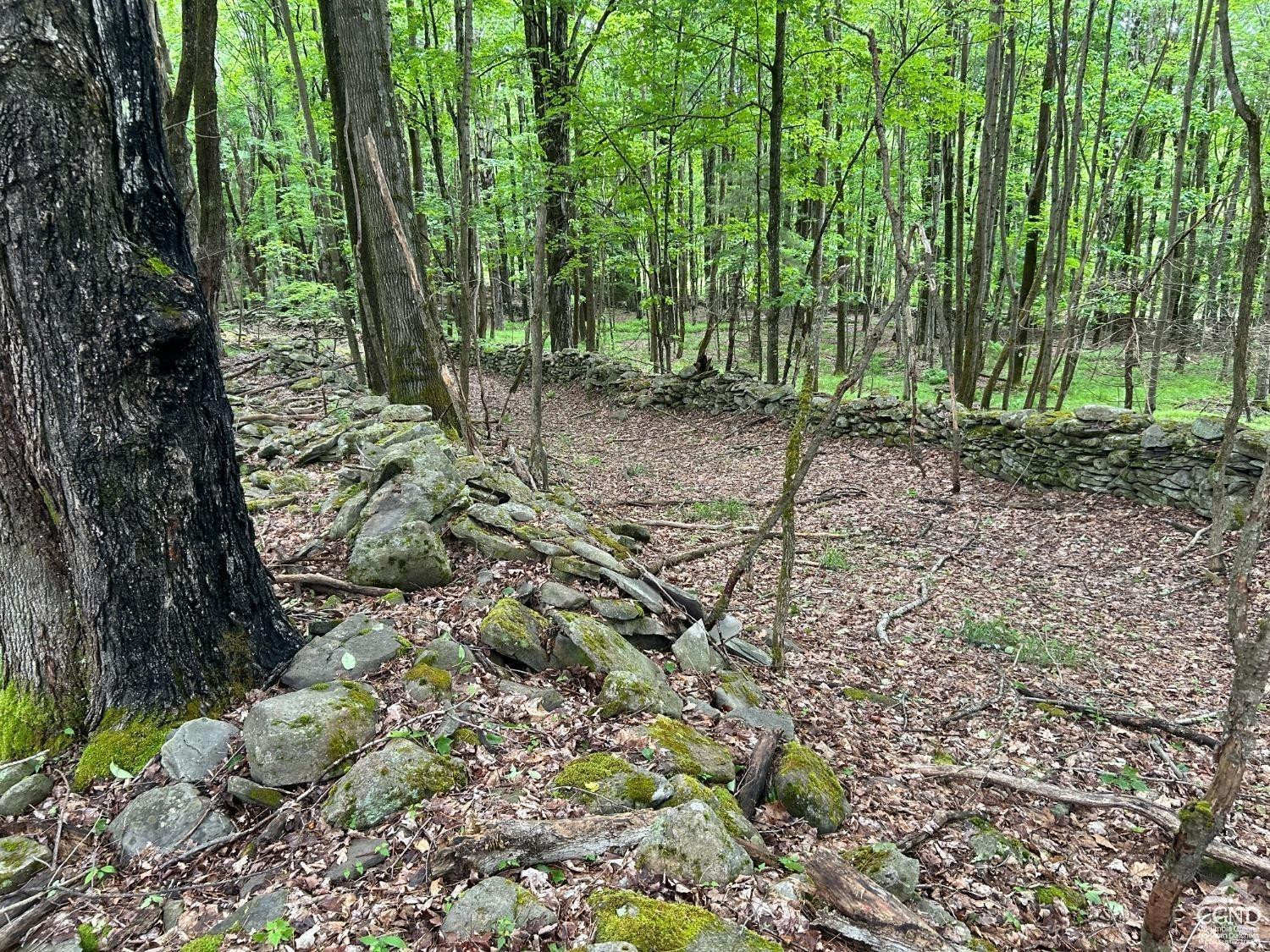 0 Vare Road Prattsville, NY 12468 - Photo 10 of 14 a view of outdoor space and trees