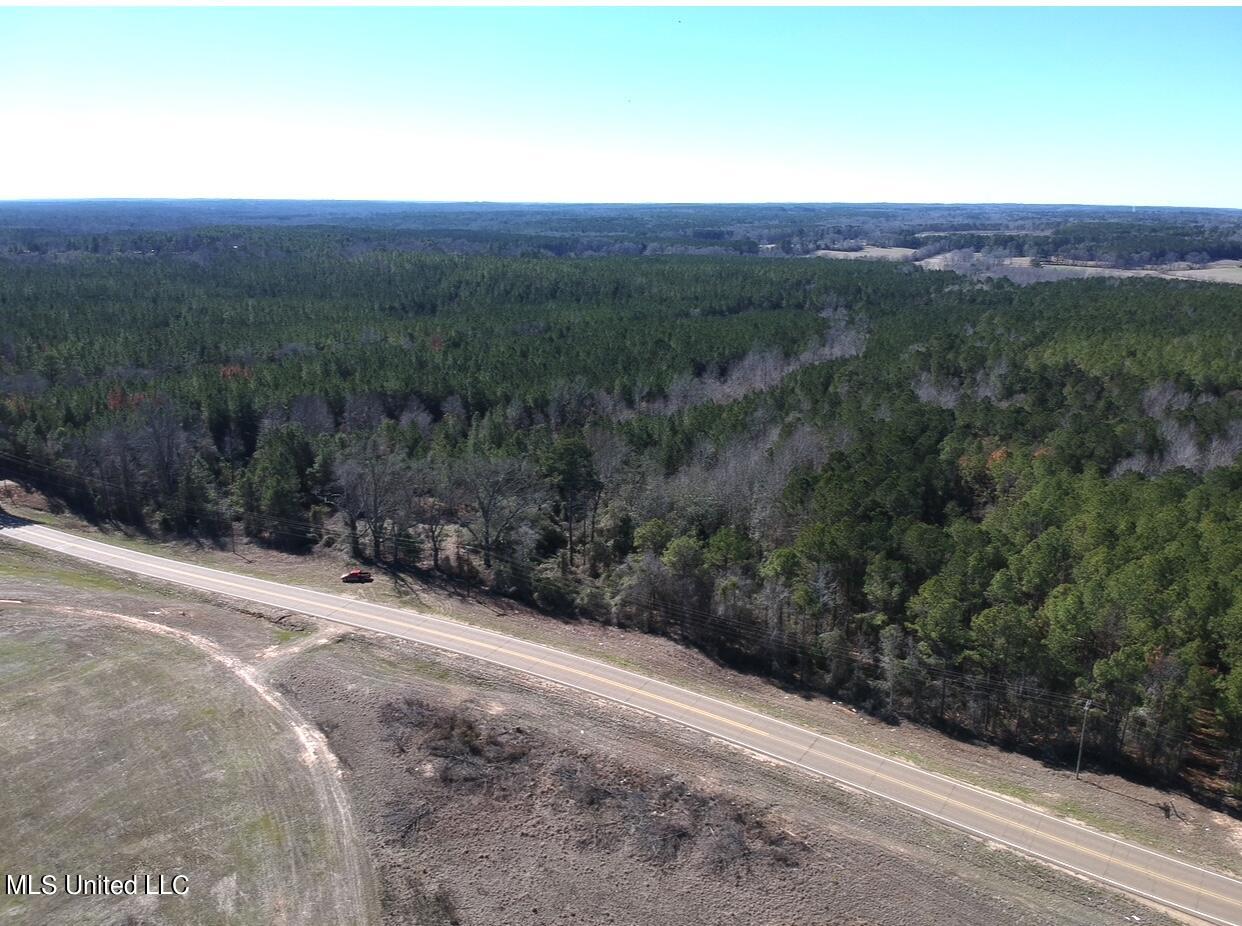 Ms-15 Union, MS 39365 - Photo 1 of 21 Land