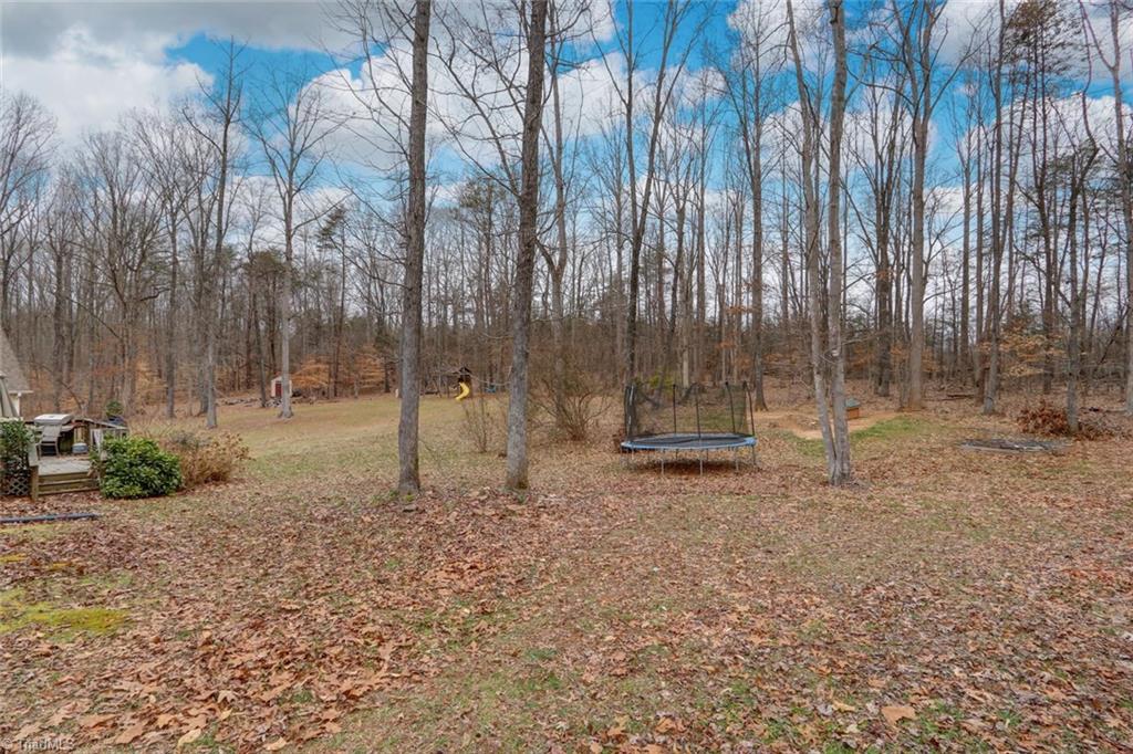 121 Laurel Ridge Court Reidsville, NC 27320 - Photo 21 of 23 Gallery Image 21