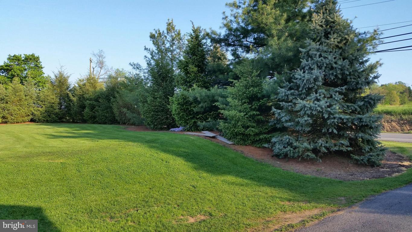 2293 North Colebrook Road Manheim, PA 17545 - Photo 11 of 17 a view of a garden
