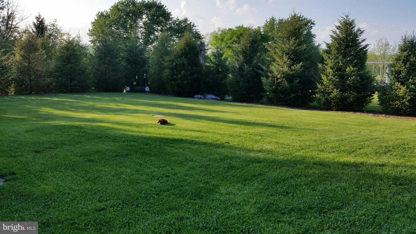 2293 North Colebrook Road Manheim, PA 17545 - Photo 12 of 17 a view of a field of grass and trees