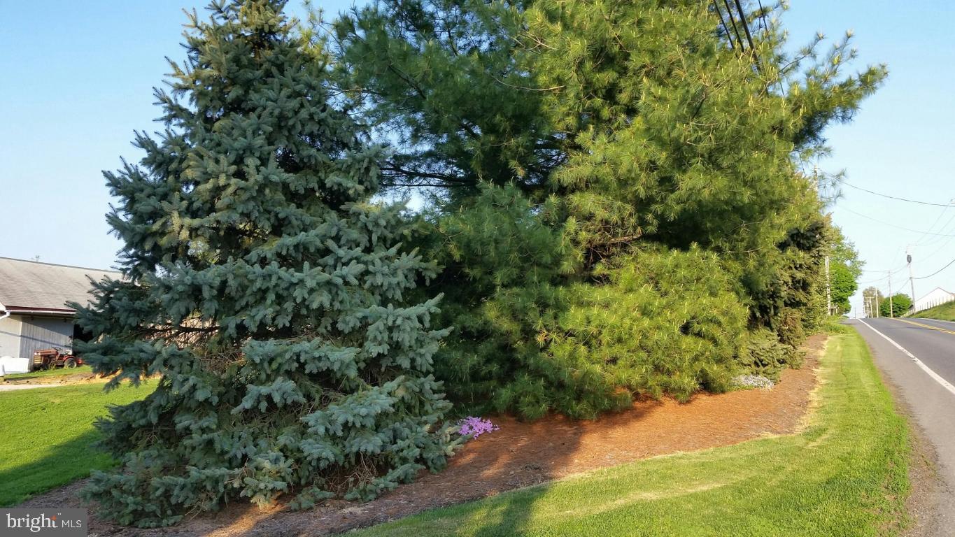 2293 North Colebrook Road Manheim, PA 17545 - Photo 16 of 17 a view of a garden with a tree