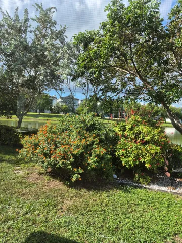a view of a garden with a tree