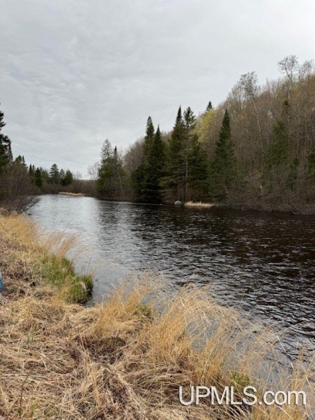 Lot 30 River Country Road Crystal Falls, MI 49920 - Photo 8 of 15