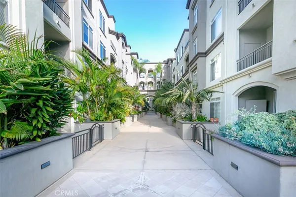 a view of a garden with pathway