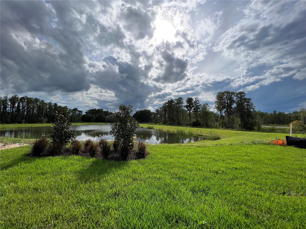 18072 Adrift Road Winter Garden, FL 34787 - Photo 19 of 22