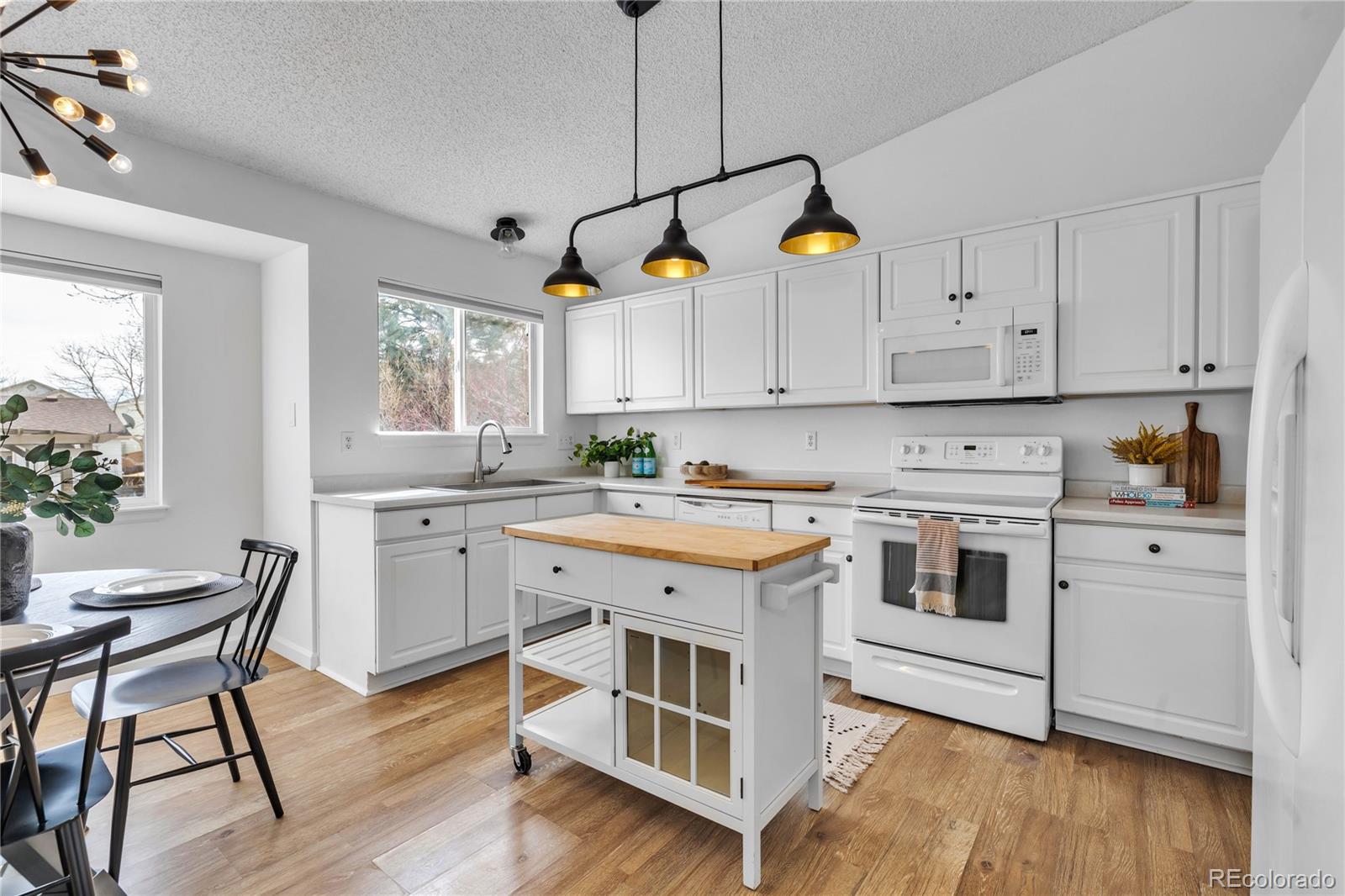 9851 South Castle Ridge Circle Highlands Ranch, CO 80129 - Photo 11 of 38