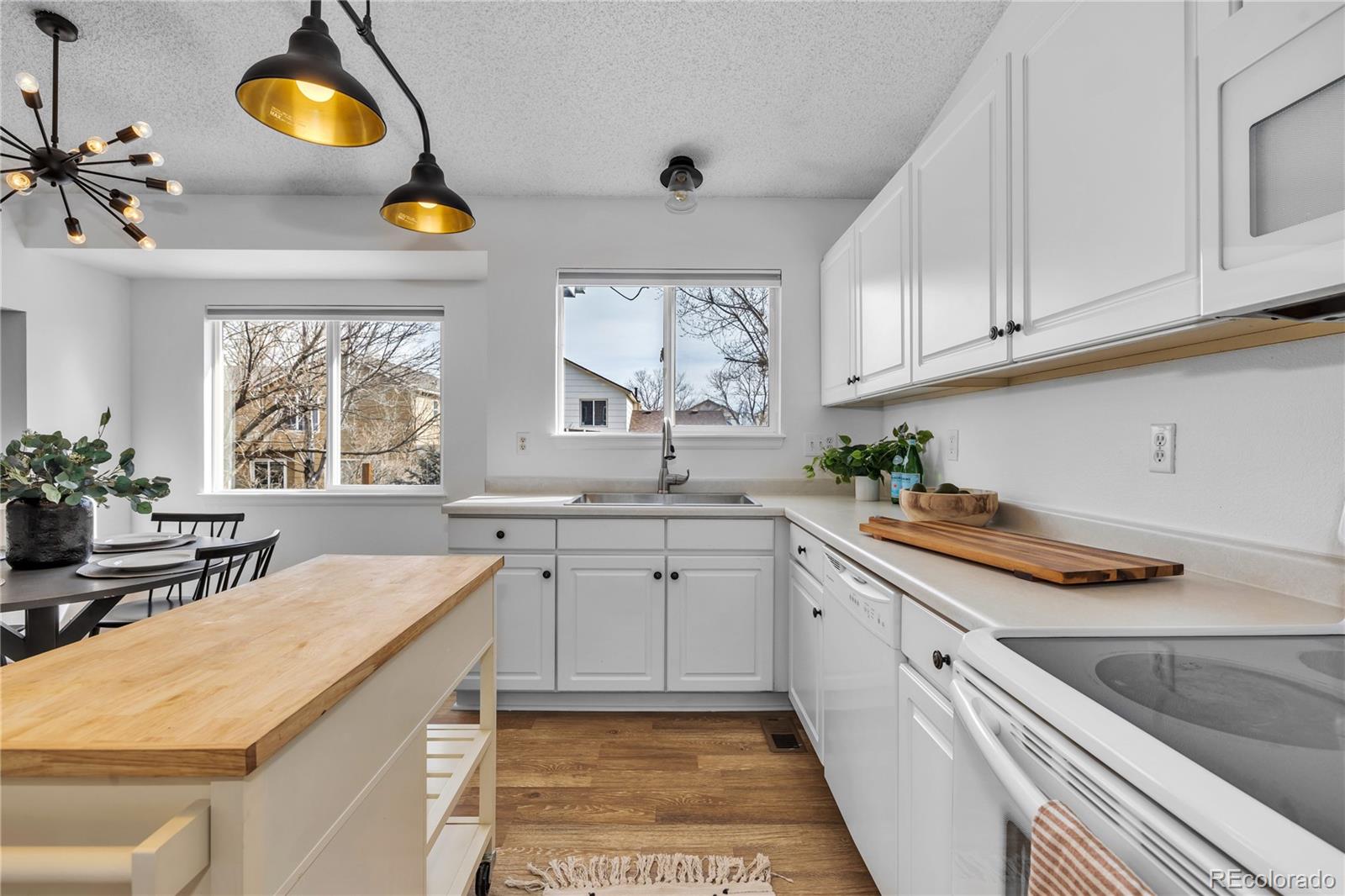 9851 South Castle Ridge Circle Highlands Ranch, CO 80129 - Photo 13 of 38