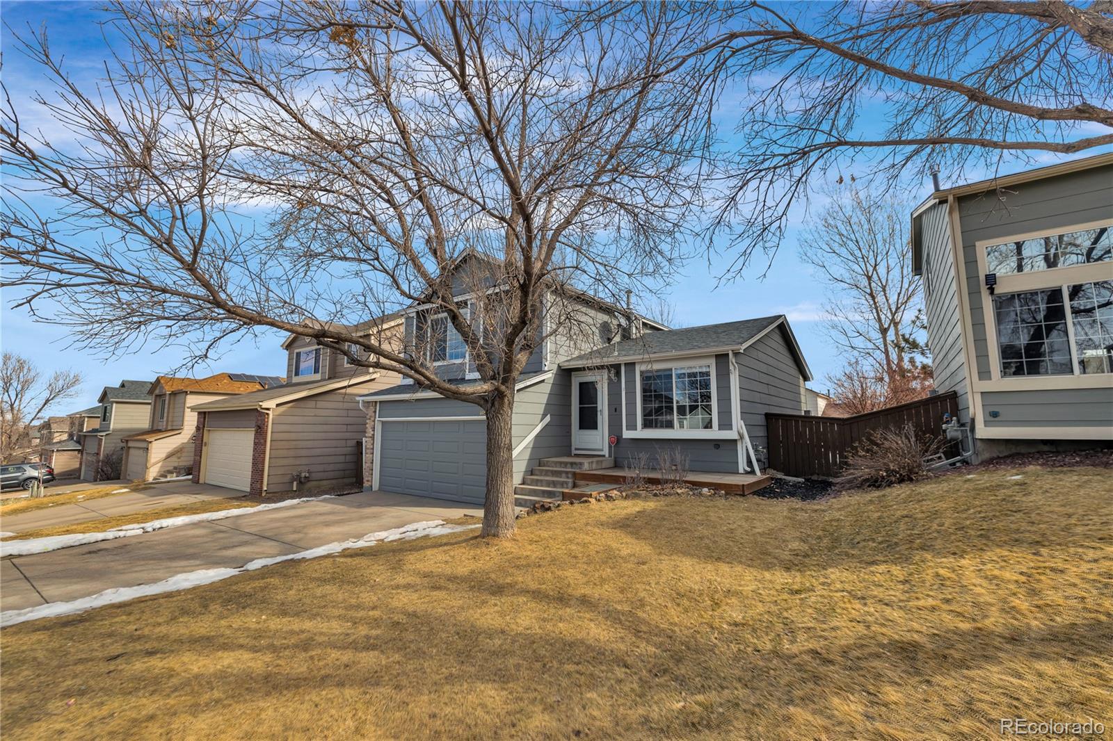 9851 South Castle Ridge Circle Highlands Ranch, CO 80129 - Photo 38 of 38