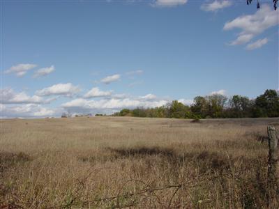 Mckenzie Road Cassopolis, MI 49031 - Photo 1 of 5 Primary Photo