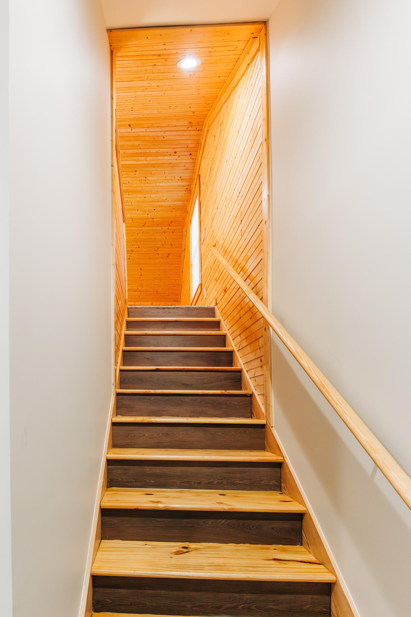 438 Locust Street Walterboro, SC 29488 - Photo 37 of 44 DSC06668