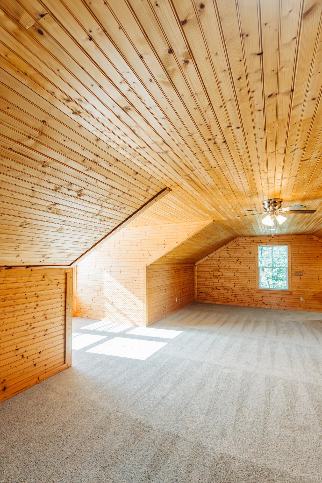 438 Locust Street Walterboro, SC 29488 - Photo 41 of 44 DSC06674