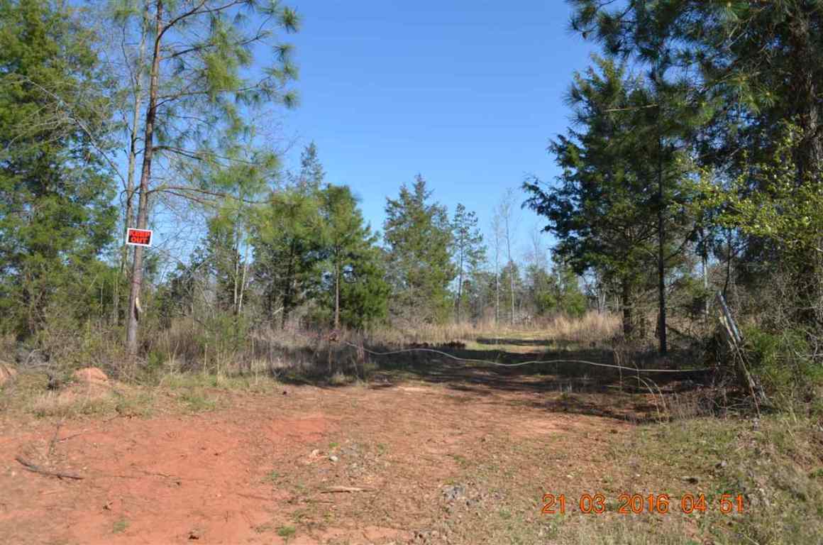0 Eakin Honea Path Honea Path, SC 29654 - Photo 1 of 4