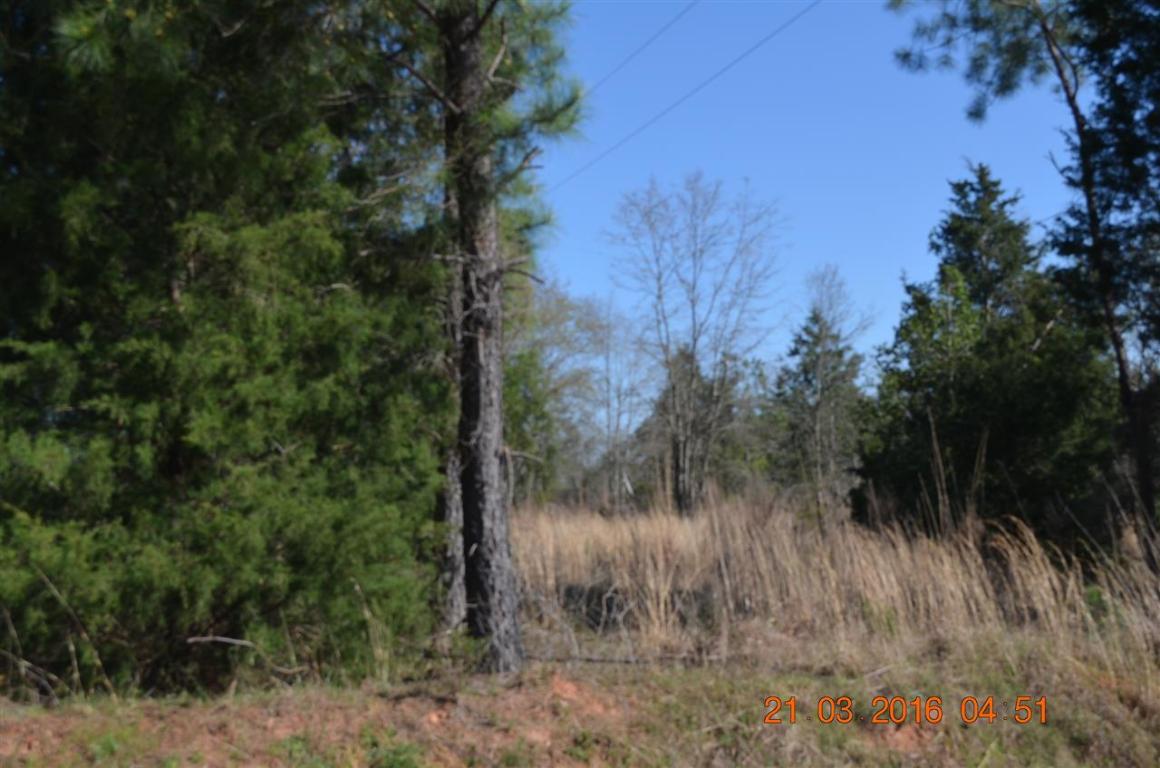 0 Eakin Honea Path Honea Path, SC 29654 - Photo 3 of 4