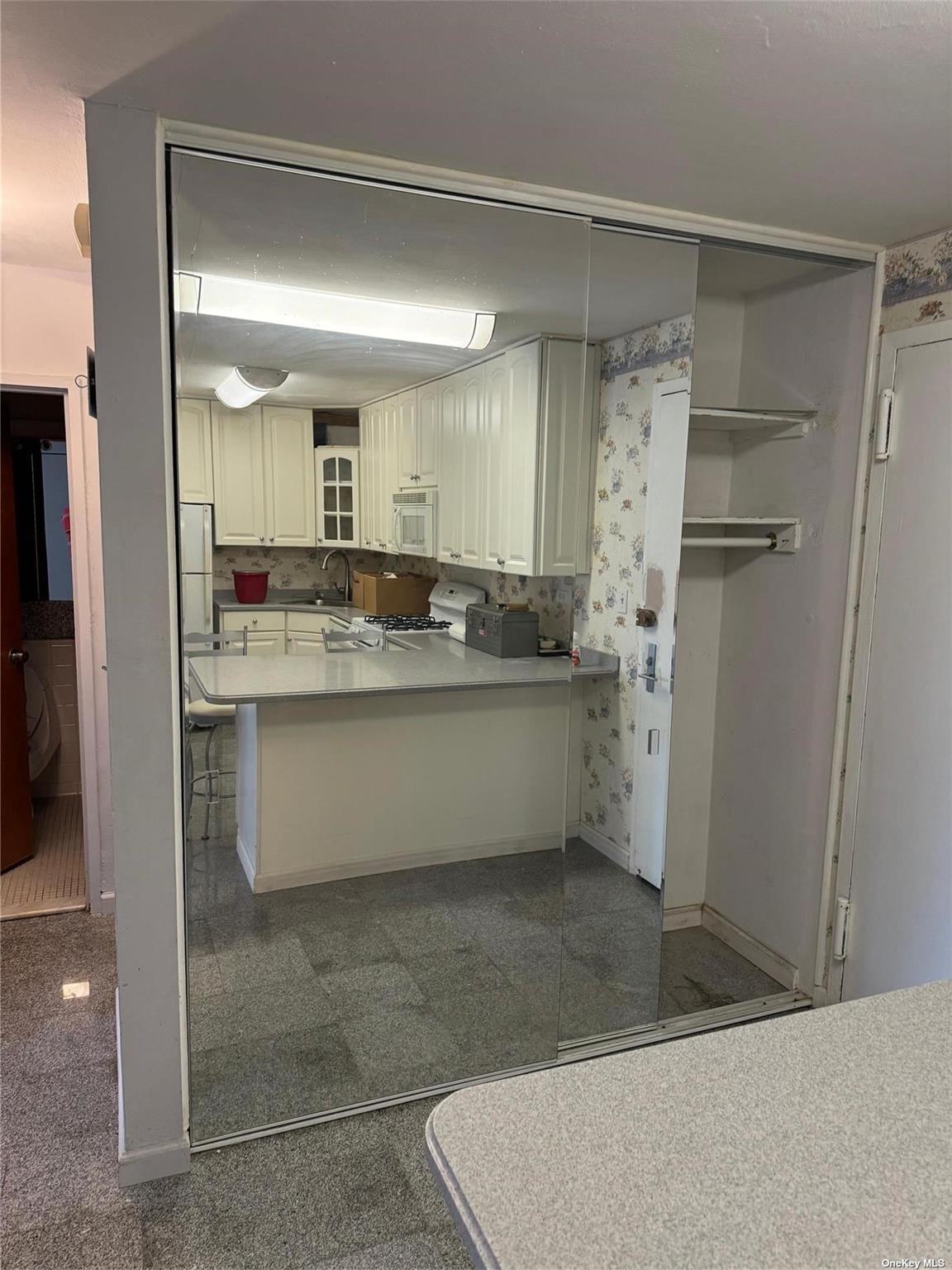 17-85 215th Street, Unit 4J Queens, NY 11360 - Photo 11 of 19 Mirrored Closets