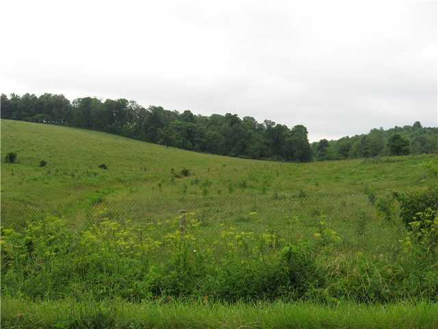 7695 Blacksnake Road Utica, OH 43080 - Photo 3 of 4 Gallery Image 3