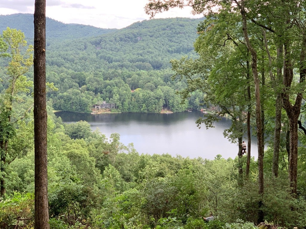 Lot 22 Panther Ridge Road Lake Toxaway, NC 28747 - Photo 2 of 28 Gallery Image 2