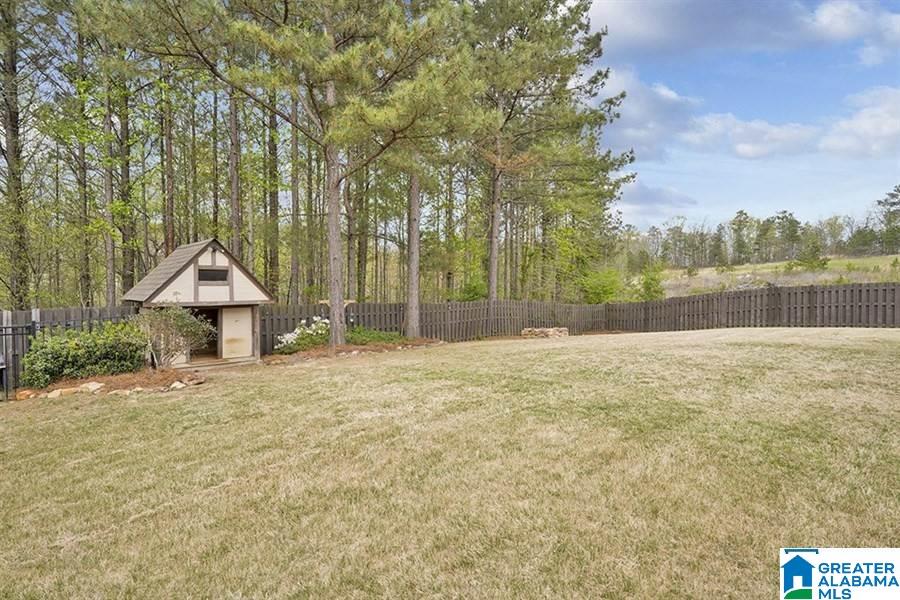 591 Village Springs Lane Springville, AL 35146 - Photo 19 of 23