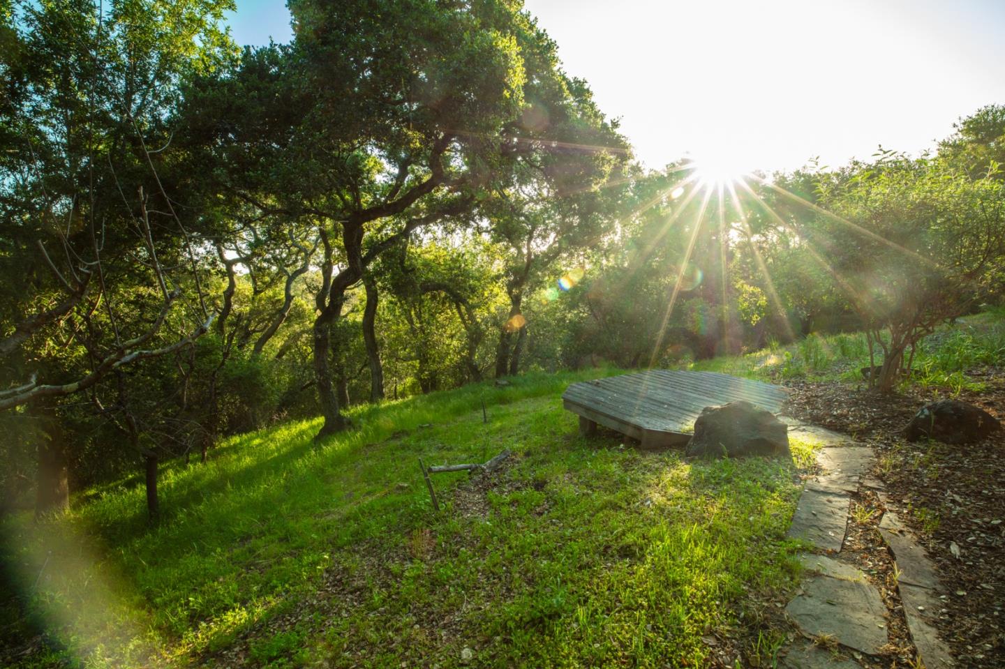250 Hardwick Road Woodside, CA 94062 - Photo 46 of 65 a view of a garden with a tree