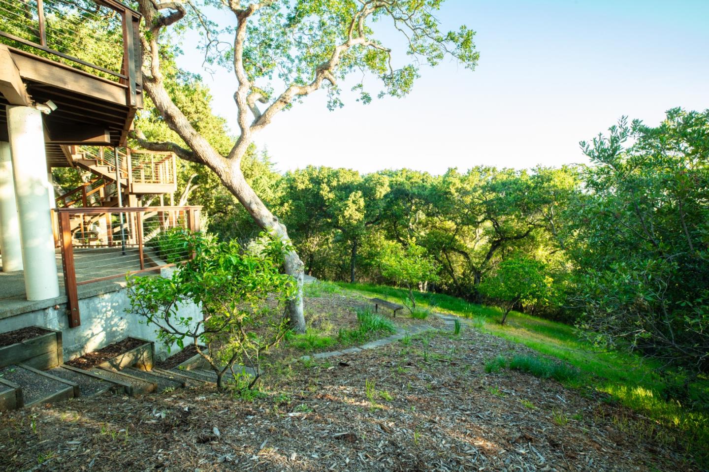 250 Hardwick Road Woodside, CA 94062 - Photo 48 of 65 a view of a yard with plants and large trees