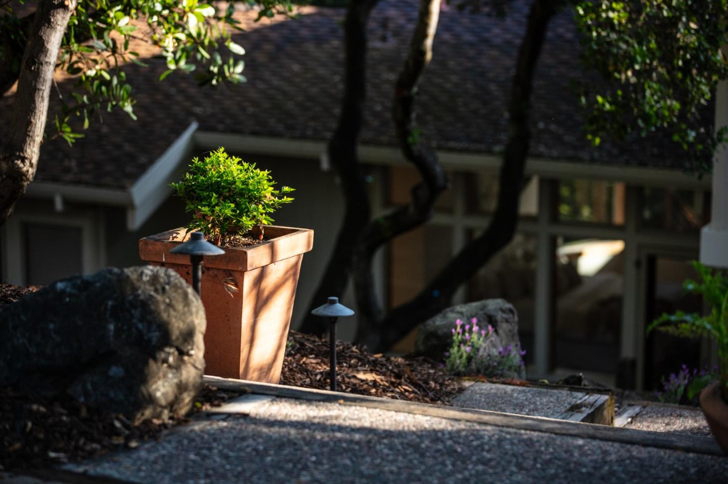 250 Hardwick Road Woodside, CA 94062 - Photo 50 of 65 a view of a house with a yard and tree s