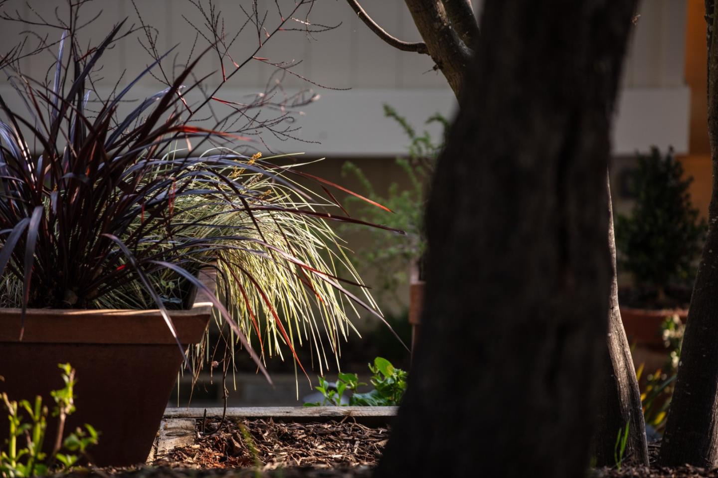 250 Hardwick Road Woodside, CA 94062 - Photo 52 of 65