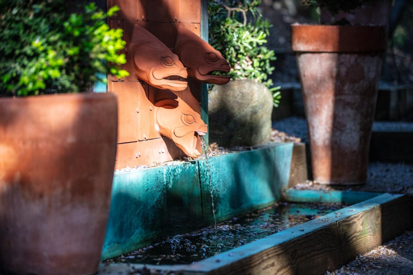 250 Hardwick Road Woodside, CA 94062 - Photo 58 of 65 an aerial view of a residential houses with outdoor space